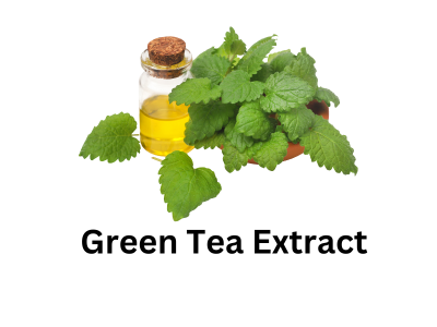 Green Tea Extract