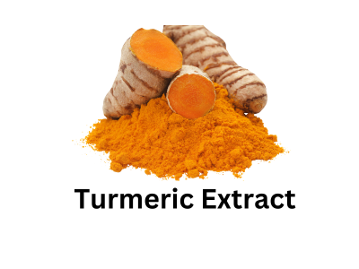 Turmeric Extract