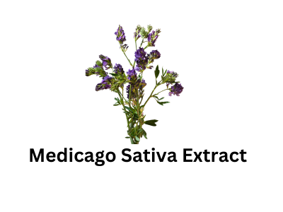 Medicago Sativa Extract